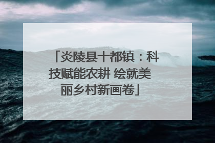 炎陵县十都镇：科技赋能农耕 绘就美丽乡村新画卷