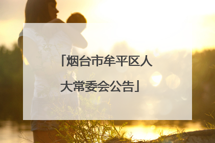 烟台市牟平区人大常委会公告