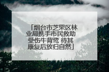 烟台市芝罘区林业局携手市民救助受伤牛背鹭 待其康复后放归自然
