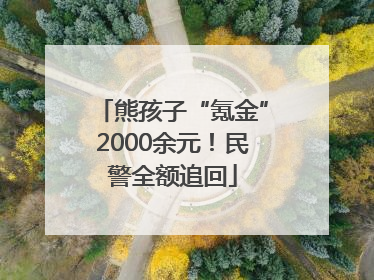 熊孩子“氪金”2000余元！民警全额追回