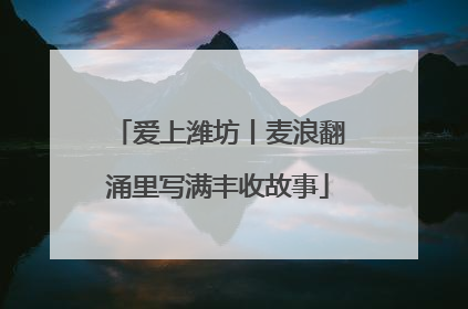 爱上潍坊丨麦浪翻涌里写满丰收故事