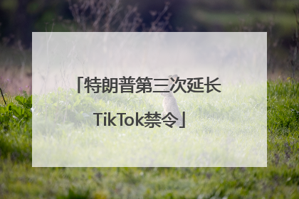 特朗普第三次延长TikTok禁令