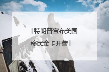特朗普宣布美国移民金卡开售