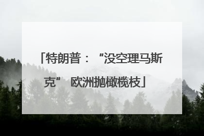 特朗普：“没空理马斯克” 欧洲抛橄榄枝