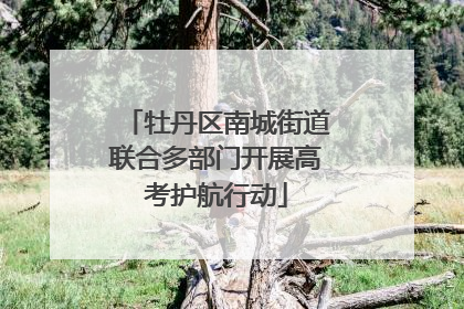 牡丹区南城街道联合多部门开展高考护航行动