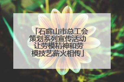 石嘴山市总工会策划系列宣传活动 让劳模精神和劳模技艺薪火相传