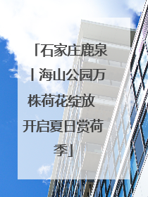 石家庄鹿泉丨海山公园万株荷花绽放 开启夏日赏荷季