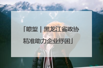 瞭望｜黑龙江省政协精准助力企业纾困