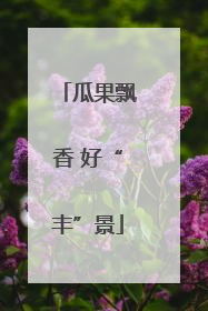 瓜果飘香 好“丰”景