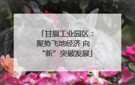 甘眉工业园区：聚势飞地经济 向“新”突破发展