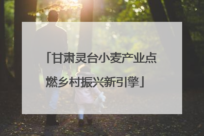 甘肃灵台小麦产业点燃乡村振兴新引擎