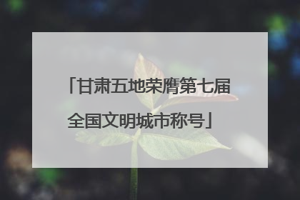 甘肃五地荣膺第七届全国文明城市称号