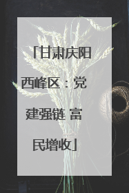 甘肃庆阳西峰区：党建强链 富民增收
