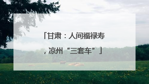 甘肃：人间福禄寿，凉州“三套车”