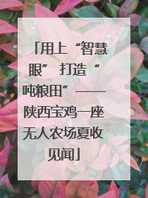 用上“智慧眼” 打造“吨粮田”——陕西宝鸡一座无人农场夏收见闻