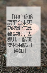 用户称购票平台未更新航班信息致误机，去哪儿：航班变化由航司通知