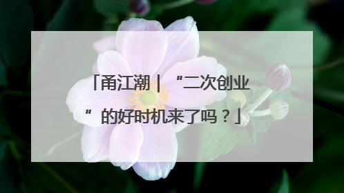 甬江潮｜“二次创业”的好时机来了吗？