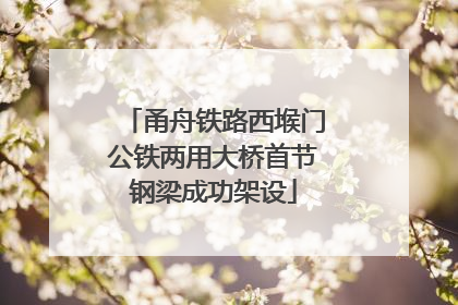 甬舟铁路西堠门公铁两用大桥首节钢梁成功架设