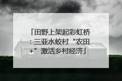 田野上架起彩虹桥：三亚水蛟村“农田+”激活乡村经济