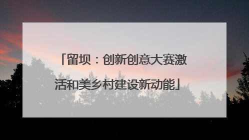 留坝：创新创意大赛激活和美乡村建设新动能