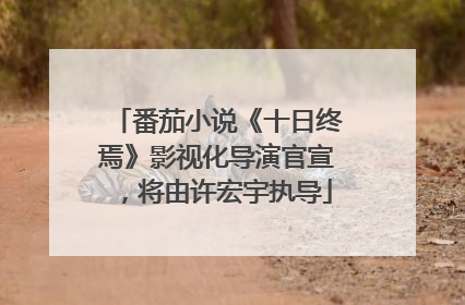 番茄小说《十日终焉》影视化导演官宣，将由许宏宇执导
