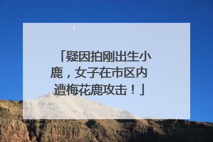 疑因拍刚出生小鹿，女子在市区内遭梅花鹿攻击！