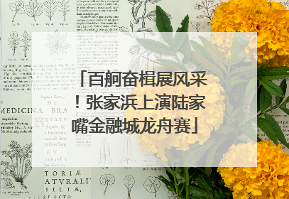 百舸奋楫展风采！张家浜上演陆家嘴金融城龙舟赛