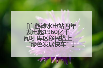白鹤滩水电站四年发电超1960亿千瓦时 库区移民搭上“绿色发展快车”