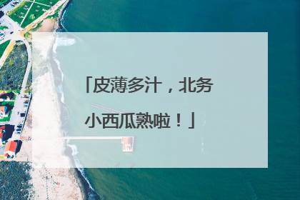 皮薄多汁，北务小西瓜熟啦！