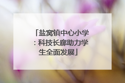 盐窝镇中心小学：科技长廊助力学生全面发展