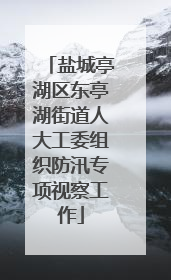 盐城亭湖区东亭湖街道人大工委组织防汛专项视察工作