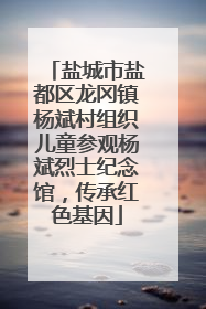 盐城市盐都区龙冈镇杨斌村组织儿童参观杨斌烈士纪念馆，传承红色基因