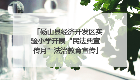 砀山县经济开发区实验小学开展“民法典宣传月”法治教育宣传