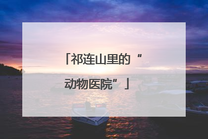 祁连山里的“动物医院”