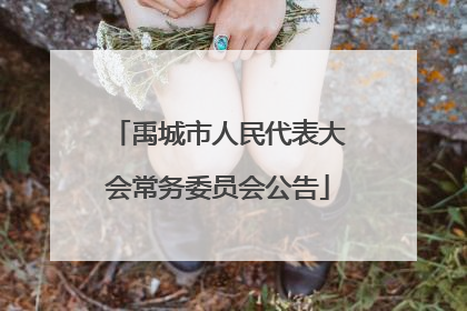 禹城市人民代表大会常务委员会公告