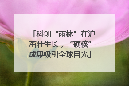 科创“雨林”在沪茁壮生长，“硬核”成果吸引全球目光
