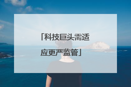 科技巨头需适应更严监管