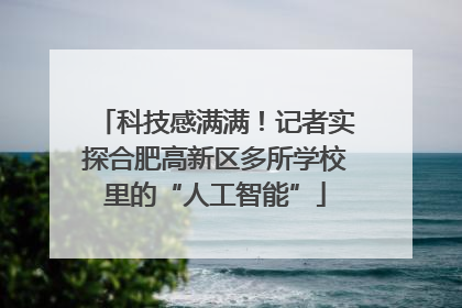 科技感满满！记者实探合肥高新区多所学校里的“人工智能”