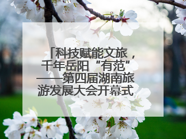 科技赋能文旅，千年岳阳“有范”——第四届湖南旅游发展大会开幕式暨文化旅游推介会侧记