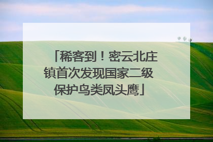 稀客到！密云北庄镇首次发现国家二级保护鸟类凤头鹰