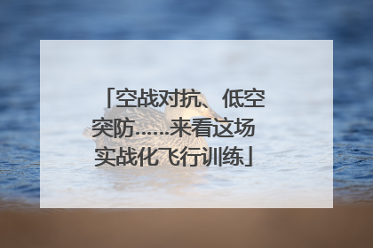 空战对抗、低空突防……来看这场实战化飞行训练
