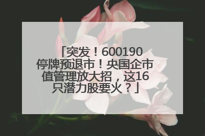 突发！600190停牌预退市！央国企市值管理放大招，这16只潜力股要火？