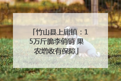 竹山县上庸镇：15万斤脆李俏销 果农增收有保障