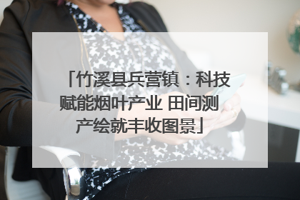 竹溪县兵营镇：科技赋能烟叶产业 田间测产绘就丰收图景