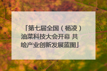 第七届全国（杨凌）油菜科技大会开幕 共绘产业创新发展蓝图