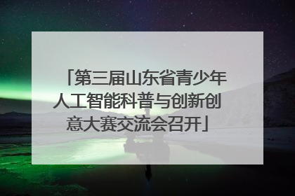 第三届山东省青少年人工智能科普与创新创意大赛交流会召开