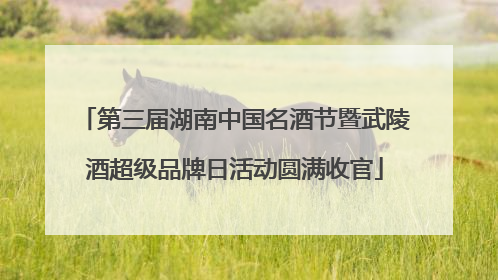 第三届湖南中国名酒节暨武陵酒超级品牌日活动圆满收官