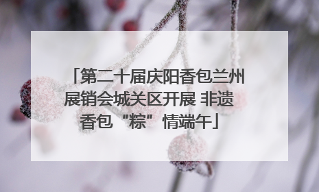 第二十届庆阳香包兰州展销会城关区开展 非遗香包“粽”情端午