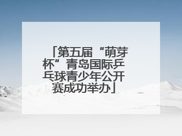 第五届“萌芽杯”青岛国际乒乓球青少年公开赛成功举办