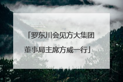 罗东川会见方大集团董事局主席方威一行